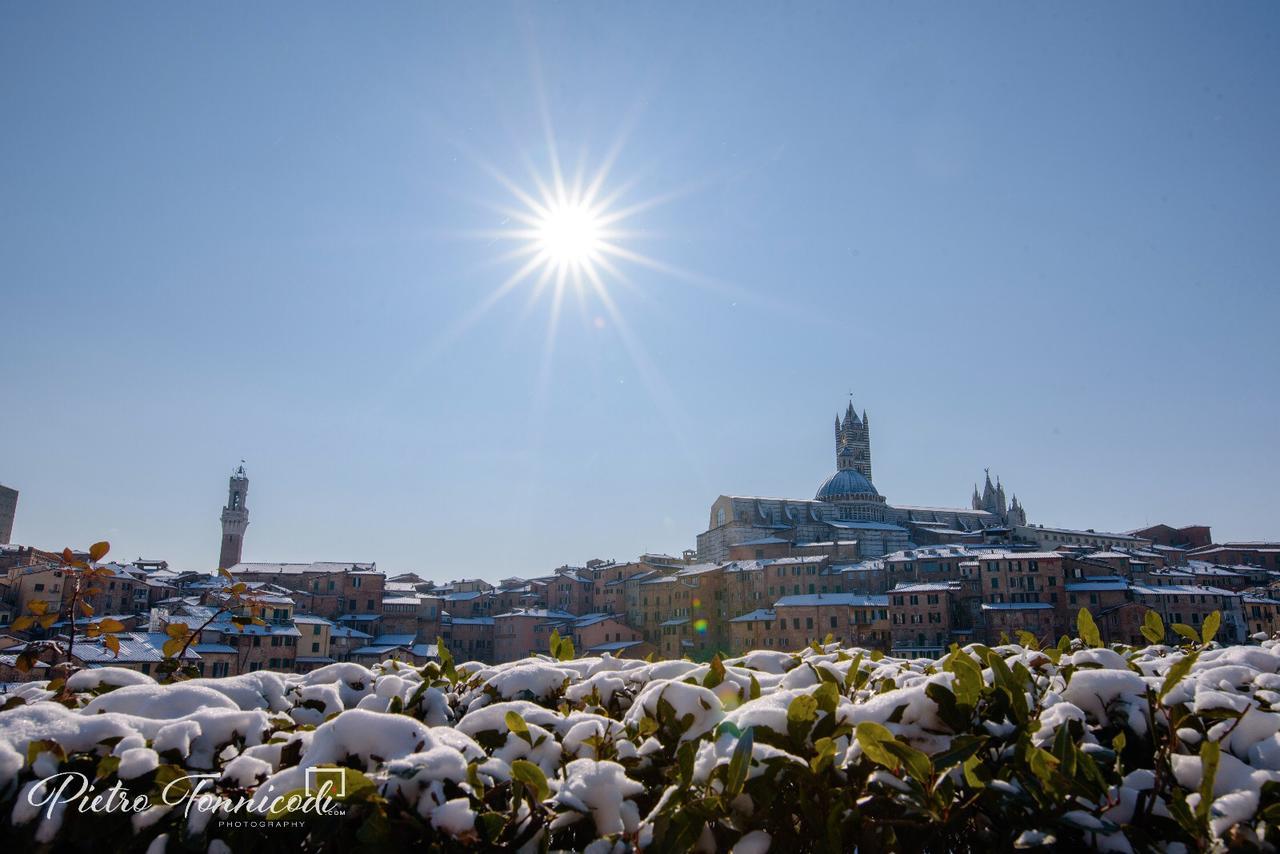 B&B Le Lupe Siena Kültér fotó